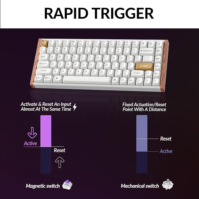 Keychron K2 HE Rapid Trigger Wireless Custom Keyboard with Hall Effect Gateron Double-Rail Magnetic Switch 2.4 GHz QMK Bluetooth 5.2 RGB Compatible with Mac Windows Linux (Aluminum + Wood)