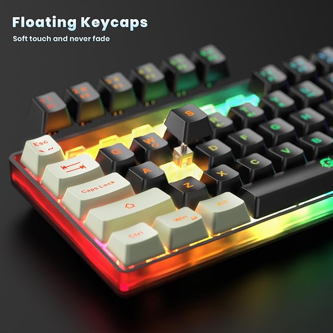 65% Wireless Gaming Keyboard: LED Backlit 68 Keys Ultra-Compact Anti-ghosting No-Conflict Wireless Keyboard for PC Laptop Windows Gamer(Black-White)