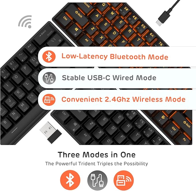 RK ROYAL KLUDGE RK61 Wireless 60% Triple Mode BT5.0/2.4G/USB-C Mechanical Keyboard 61 Keys Wireless Mechanical Keyboard Compact Gaming Keyboard with Software (Hot Swappable Blue Switch Black)