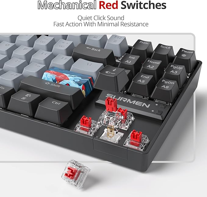 Owpkeenthy 75% Mechanical Gaming Keyboard with Red Switch RGB Backlit Keyboard 87 Keys Compact TKL Wired Computer Keyboards for Laptop PC Gamer Xbox PS (Grey/ 87 Red Switch)
