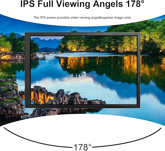 VSDISPLAY 10.1 Inch Portable LCD Monitor 1280x800 IPS Screen as Secondary Display for PC Case Computer Laptop