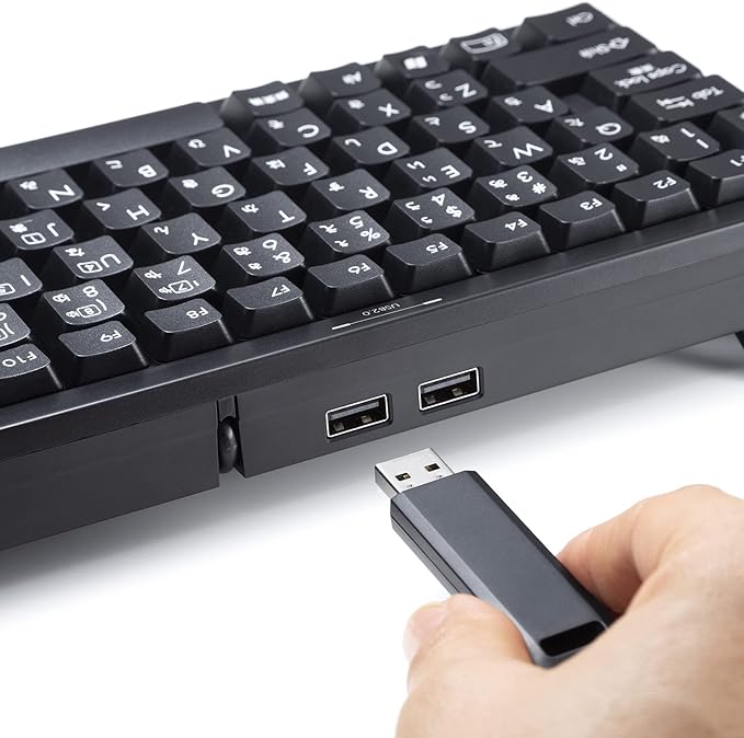 Sanwa Supply SKB-KG3UH2BK Compact Keyboard with USB Hub Black No Numeric Keypad