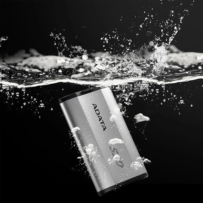 SD810 4 TB Externe SSD (silber USB-C 3.2 Gen 2x2 (20 Gbit/s))