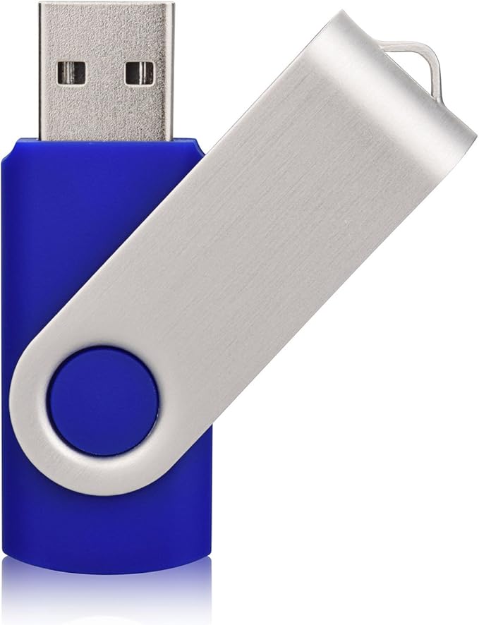 Aiibe 10 Pack 32GB Flash Drive USB Flash Drive USB 3.0 Thumb Drives USB Memory Stick 32 GB 3.0 Flash Drives Bulk (10 Mixed Colors: Black Blue Red Green Orange White Yellow Pink Purple Silver)