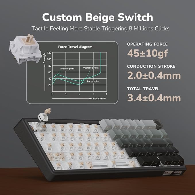RK ROYAL KLUDGE R65 Wired Gaming Keyboard with Volume Knob 60% Percent RGB Backlit Mechanical Keyboard Side Printed PBT Keycaps QMK/VIA 66 Keys Hot Swappable Beige Switch Gradient Black