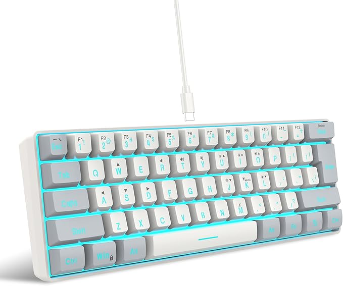 Snpurdiri 60% Wired Gaming Keyboard 61 Keys RGB Backlit Small Gaming Keyboard for PC/Mac Gamer Typist Travel Easy to Carry on Business Trip(Grey-White)