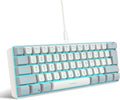 Snpurdiri 60% Wired Gaming Keyboard 61 Keys RGB Backlit Small Gaming Keyboard for PC/Mac Gamer Typist Travel Easy to Carry on Business Trip(Grey-White)