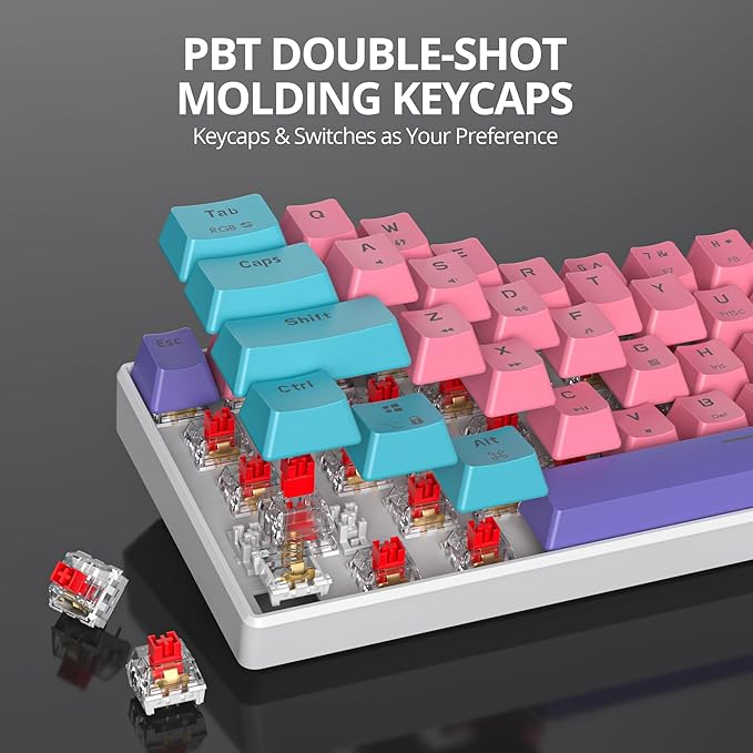Protable 60% Percent Gaming Keyboard Mechanical Mini Compact RGB Backlit 61 Keys Wired Office Keyboard with red Switch for Mac/Win (Zhi/red Switch)
