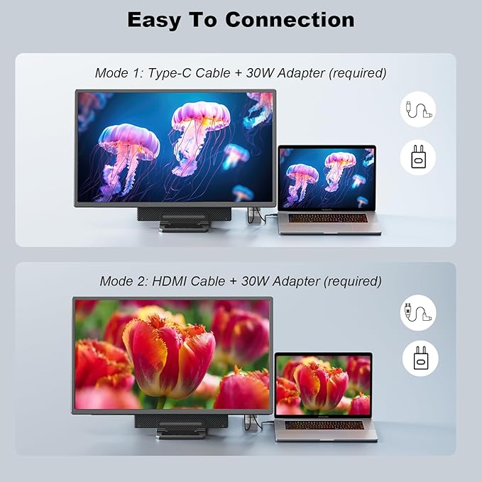 24 Large Portable Monitor 1080P FHD 100Hz Laptop Screen Extender 125% sRGB IPS Monitor Extender USB C HDMI Office Gaming with Detachable Stand Travel monitor for Window MAC Phone Xbox Switch