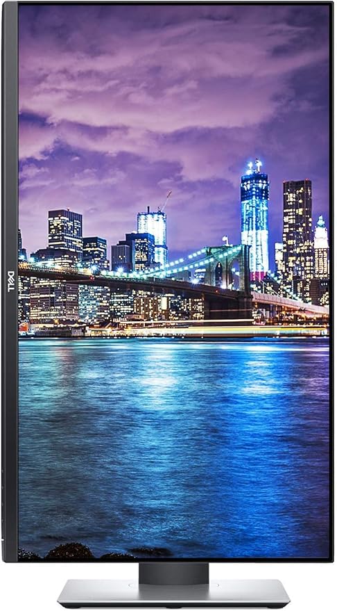 Dell 2019 P2719H 27 Inch Full HD (1920 x 1080) IPS LED-Backlit Monitor 2-Pack with USB HDMI VGA and DisplayPort (NOT The P2722H Model)