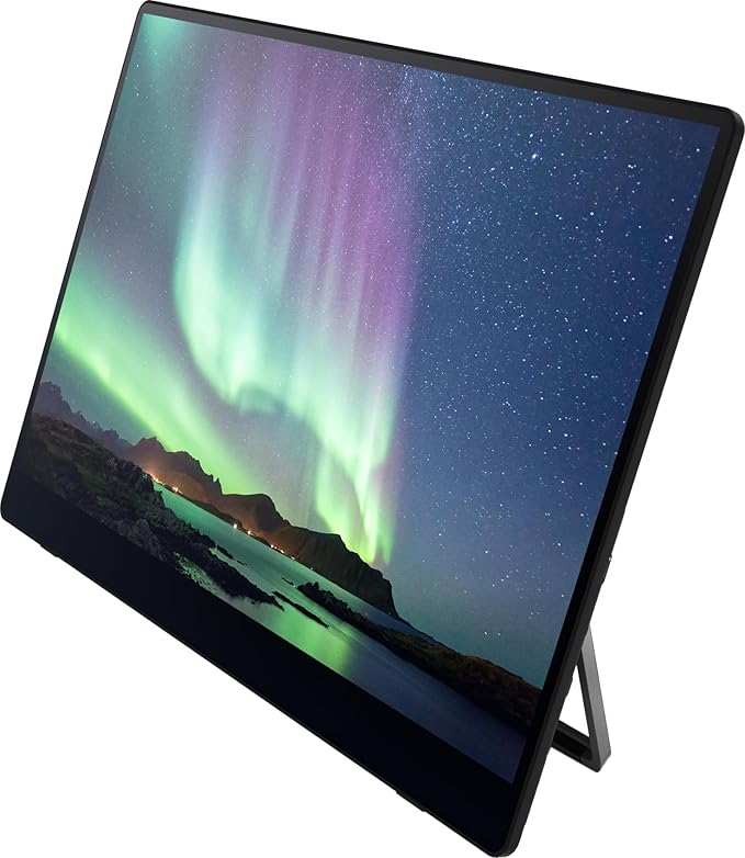 Ricoh 150BW Portable 15.6 Vivid OLED 350nit Lightweight Display Monitor and Touchscreen w/Dual Speakers Wireless with Multicasting Battery Powered - for Laptop Desktop Mac PC
