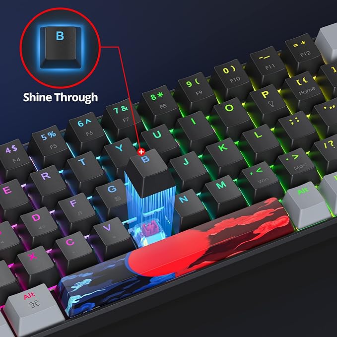 Owpkeenthy Portable 65% Percent Mechanical Gaming Keyboard Mini Wired Ultra Compact RGB 68 Keys Office Keyboard with Red Switch Backlit for PC/PS5/XBOX(Dark/ 68 Red Switch)