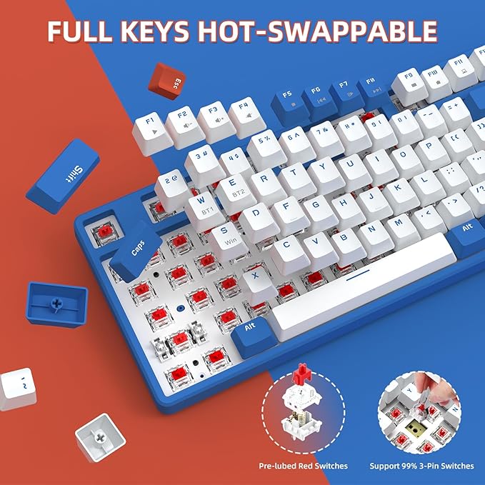 A.JAZZ Wireless Mechanical Keyboard 87 Keys TKL Hot Swappable Bluetooth Gaming Keyboard Dual Mode BT5.0/2.4G with Detachable Frame USB Hub OEM Keycaps Custom Keyboard for PC MAC PS4(Red Switch)