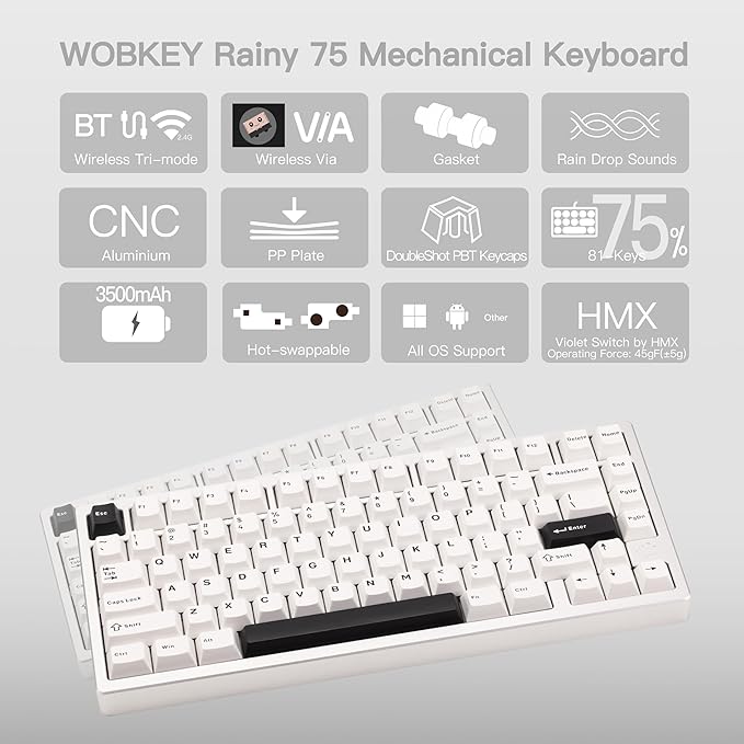 KEEBMONKEY WOBKEY Rainy 75 CNC Aluminum HMX/JWK/Cocoa Switches Triple-Mode Connectivity Mechanical Keyboard with Superior Acoustics No RGB/PP/Mirrored Glass/3500mAh/Violet Switch (Lite - Silver)
