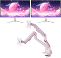 Pixio Two PX275 Wave Pink 27 inch 100Hz Refresh Rate QHD 1440p Resolution IPS Panel 1ms MPRT Response Time Gaming Monitor and PS1D Wave Pink Dual Monitor Arm - Fits up to 32 inches and 19.8lbs