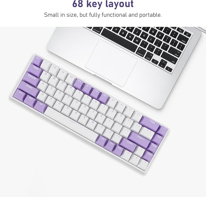 Yoidesu Mechanical Keyboard USB C Wired Gaming Keyboard Blueberry Theme Keycap RGB Backlit 68 Keys Blue Switch Computer Keyboard for Wins 2000 ME for Vista