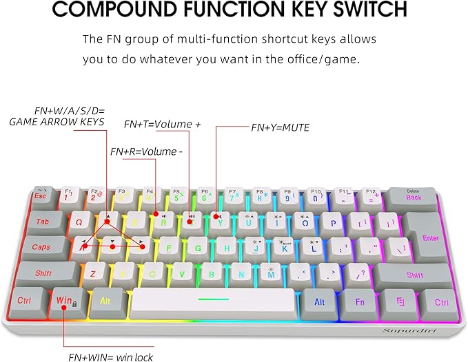Snpurdiri 60% Wired Gaming Keyboard 61 Keys RGB Backlit Small Gaming Keyboard for PC/Mac Gamer Typist Travel Easy to Carry on Business Trip(Grey-White)