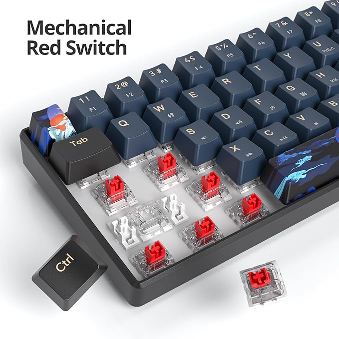 Portable 60% Mechanical Gaming Keyboard Red Switch LED Backlit 61 Keys Mini Black Blue USB Wired for Windows Mac Laptop PC (61 Blue Samurai)