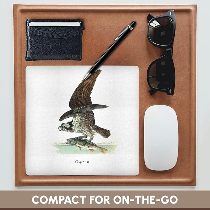 3Drose LLC 8 X 8 X 0.25 Inches Mouse Pad Osprey by John James Audubon (Mp_114072_1)
