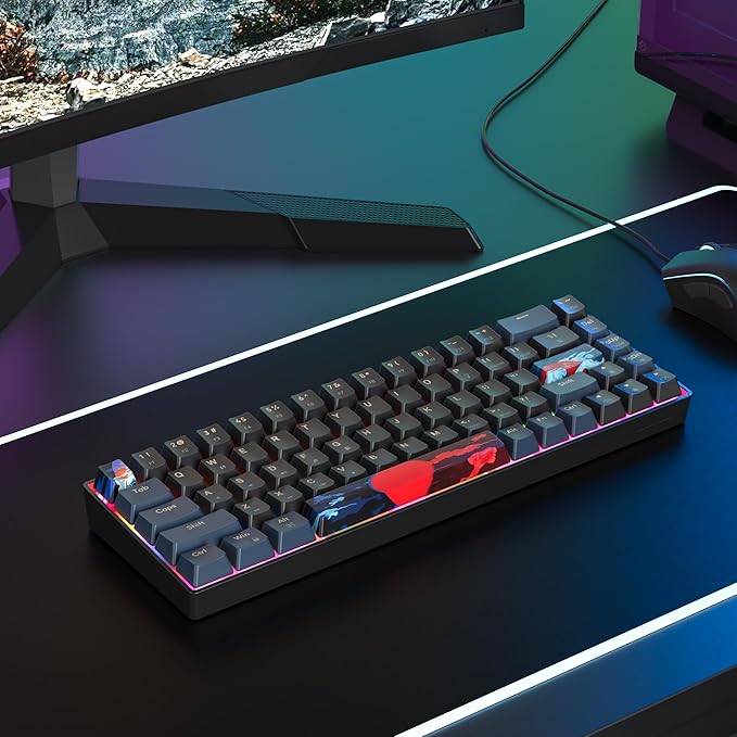 60 Percent Gaming Keyboard 68 Keys Mechanical Keyboard Rainbow Backlit Compact Wired Keyboard with Red Switch for Windows PS4/5 Xbox(68 Blue)