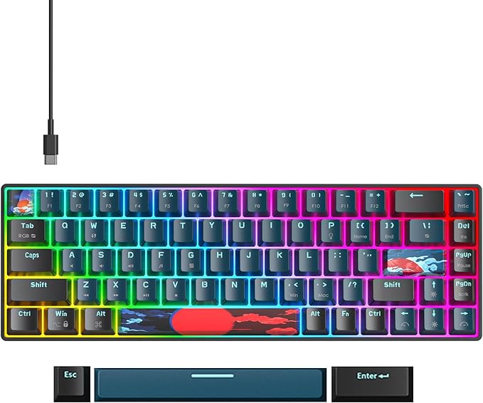 Fogruaden Wired 65% Percent Keyboard Mechanical RGB Gaming Keyboard 60 Percent Ultra-Compact 68 Key Mini Keyboard for Win/Mac PC Gamer Easy to Carry on Trip (68Monster Red Switch)
