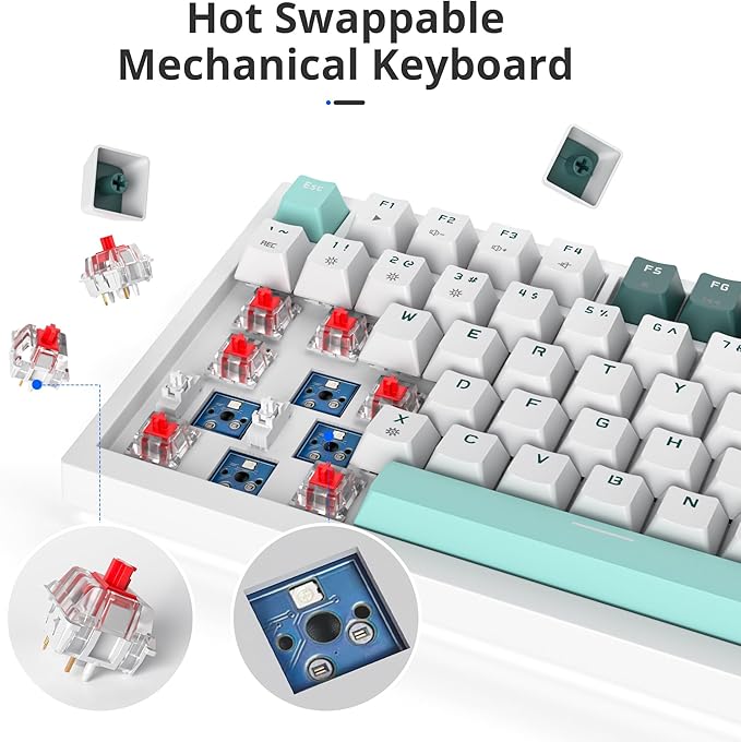 Owpkeenthy 75 Percent Gaming Keyboard Gasket Mounted 82 Key Wired Mechanical Keyboard Hot Swappable with Knob Linear Red Switch RGB Backlit for PC Laptop (Forest)
