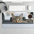 XXL Gaming Mouse Pad Animal Drive Cat XXL Gaming Mouse Pad Large Desk Mat Protector for Desktop Anti-Slip Rubber Extended Computer Keyboard Mat Writing Pad for Work Office 15.7 * 35.4 inB-1758