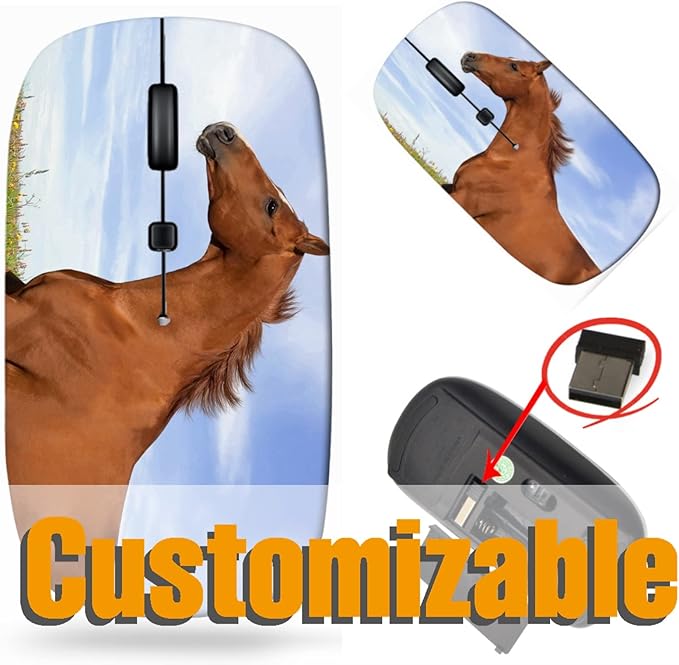 maizi Laptop Mouse Wireless for Chromebook Laptop PC NotebookLaptop Mouses Wireless Image ID: 27572854 Russian Don Horse Running Through th Portable 2.4G USB Receiver Printed in USA