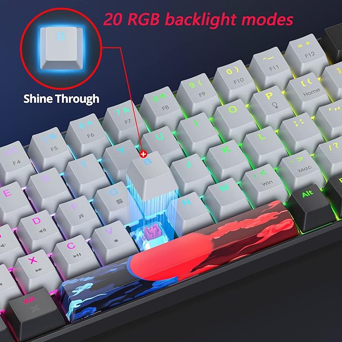 Protable 60% Percent Gaming Keyboard Mechanical Mini Compact RGB Backlit 68 Keys Wired Office Keyboard with Red Switch for Mac/Win (Dolch/red Switch 68)