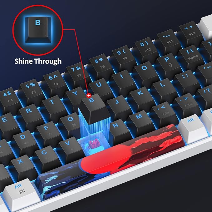 60 Percent Gaming Keyboard 68 Keys Mechanical Keyboard LED Backlit Compact Wired Keyboard with Red Switch for Windows PS4/5 Xbox Gamer(White-Black)