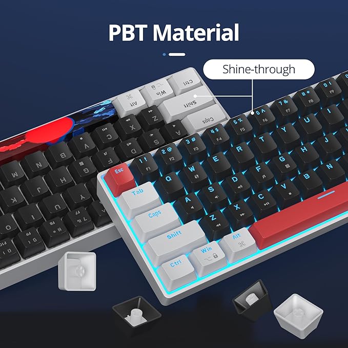 Portable 60% Mechanical Gaming Keyboard 60 Percent Red Switch LED Backlit 61 Keys Mini Black &amp White USB Wired Office Keyboard for Windows Mac Laptop PC