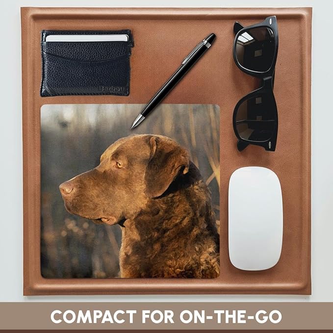 3dRose LLC 8 x 8 x 0.25 Inches Mouse Pad Chesapeake Bay Retriever Portrait (mp_5324_1)