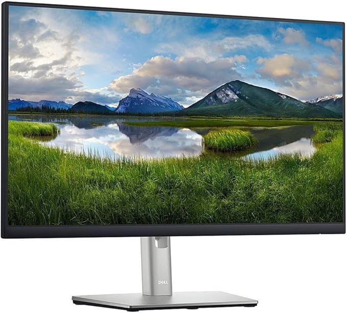 Dell P2422HE 23.8-Inch Full HD IPS Monitor with USB-C DisplayPort HDMI Ports (Renewed)