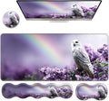 Ergonomic Keyboard Wrist Rest &amp Mouse Pad Wrist Rest SetXL Gaming Desk Mat 31.5x 11.8Non-Slip BaseMemory FoamEasy Typing Pain Relief for Office &amp HomeRainbow Floral Owl