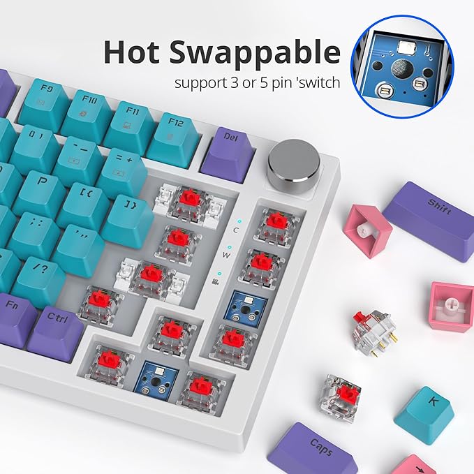 75 Percent Keyboard Gasket-Mounted with Sound Absorbing Pads 82-Key Compact Wired RGB Mechanical Gaming Keyboard Hot-Swap Socket for Win Joker