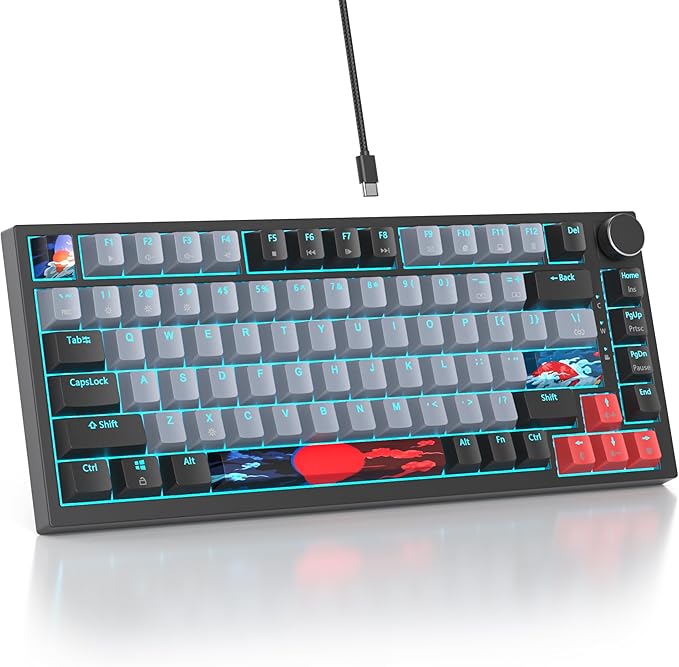 75 Percent Keyboard Gasket-Mounted with Sound Absorbing Pads 82-Key Compact Wired RGB Mechanical Gaming Keyboard Hot-Swap Socket for Win Dolch