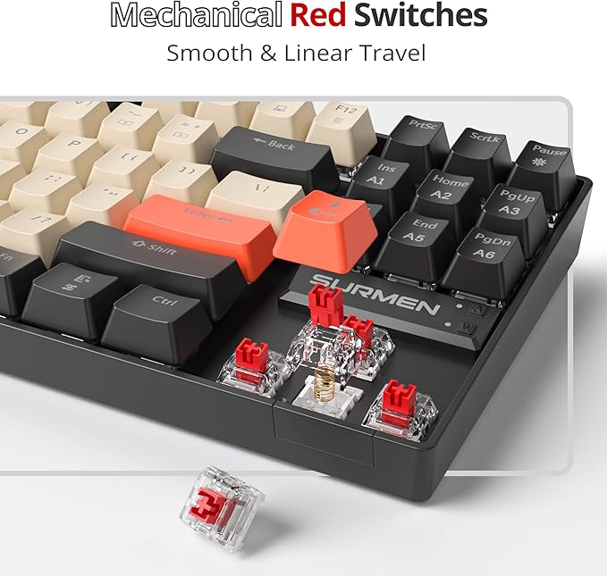Fogruaden RGB Wired 75% Percent Mechanical Keyboard with Red Switch TKL Mechanical Keyboard 75 Percent 87 Keys NKRO Compact Gaming Keyboard 75% for Win/Mac Laptop PC Gamer (Carbon/87)