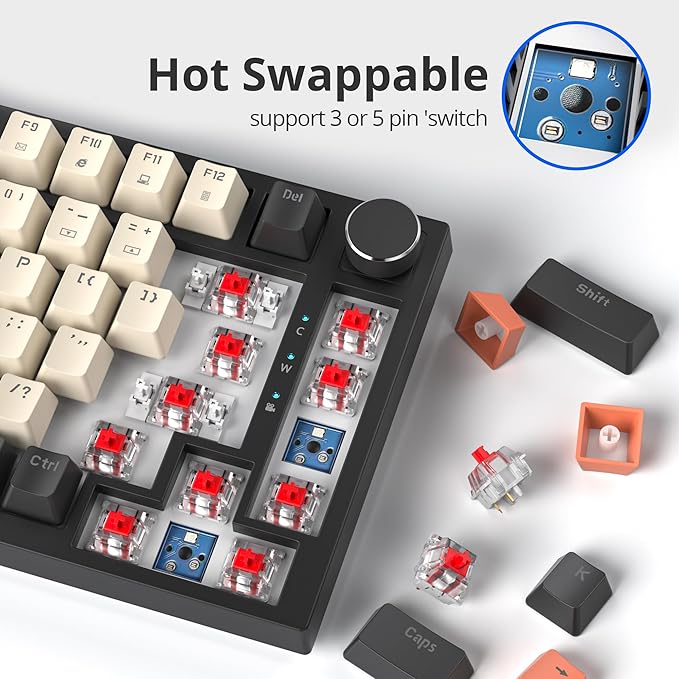 75 Percent Keyboard Gasket-Mounted with Sound Absorbing Pads 82-Key Compact Wired RGB Mechanical Gaming Keyboard Hot-Swap Socket for Win Carbon