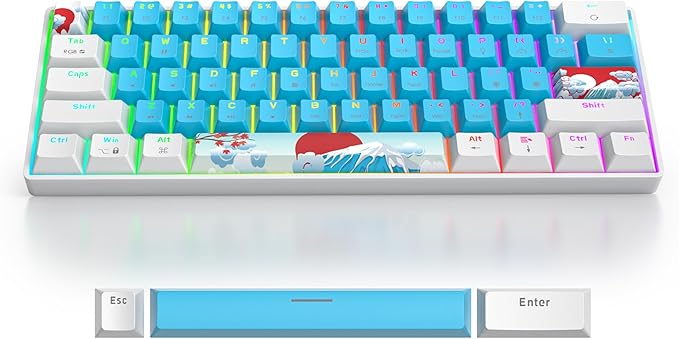 Blue and White Mechanical Gaming Keyboard 60% 61 Keys Small Wired RGB Keyboard with PBT Keycaps Anti-Ghosting for Game/Office