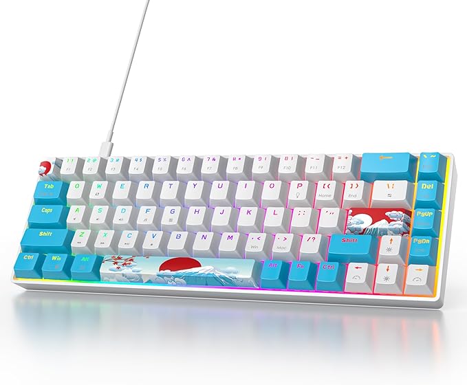Owpkeenthy Portable 60% Mechanical Gaming Keyboard Ultra Compact RGB Wired 65 Percent Mini Office Keyboard Backlit with Red Switch for PC/PS5/XBOX(Blue/ 68 Red Switch)