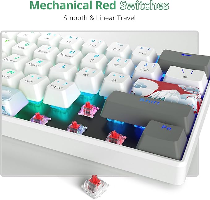 Owpkeenthy RGB Mechanical Keyboard 60 Percent Red Switches Ultra-Compact Mini Wired Gaming Keybaord with Backlit PBT Dye-Sub Keycaps for Win/Mac/PC (White/Red Switch)