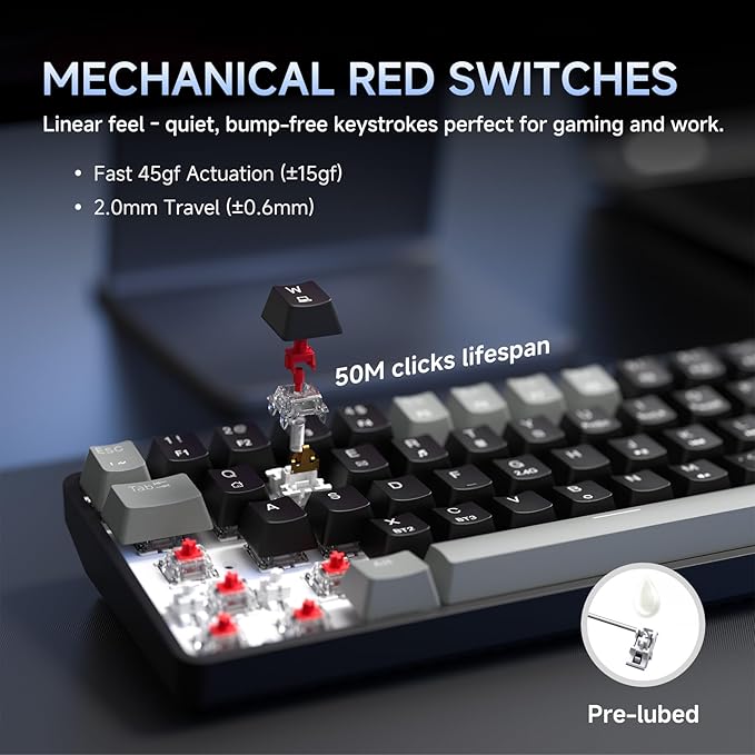 DIERYA DK68 60% Wireless Mechanical Gaming Keyboard 3 Modes Bluetooth/2.4GHz/USB-C with Red Linear Switch RGB Backlit Anti-Ghosting 68-Key Compact mini keyboard for Windows/macOS/Linux- Grey/Black