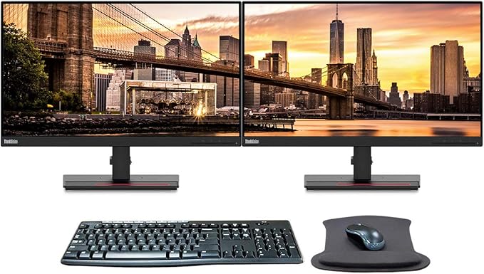Lenovo ThinkVision T24i 23.8in 1920 x 1080 FHD IPS WLED-Backlit LCD 2-Pack Raven Black Monitor Bundle with HDMI VGA DisplayPort USB Hub MK270 Wireless Keyboard and Mouse Combo and Gel Mouse Pad