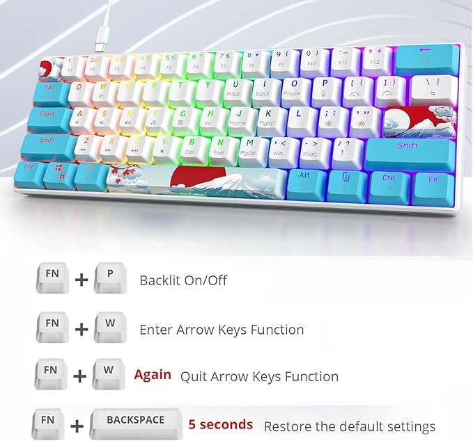 60 Percent Keyboard Mechanical RGB Backlit Wired 60% Gaming Keyboard Blue with PBT Keycaps for Windows PC Gamers (Sea/Red Switch)