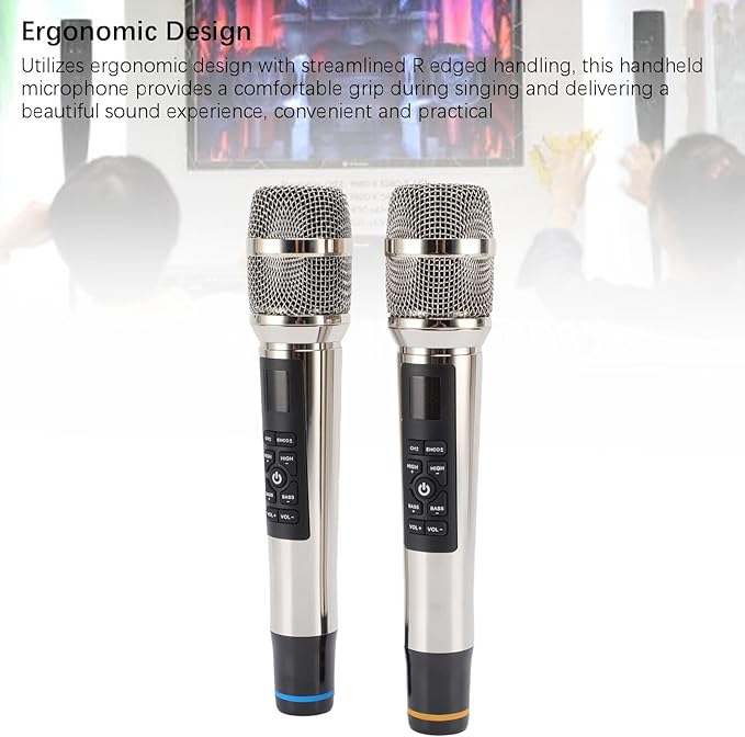 Professional Wireless Microphone Set with Reverb Dynamic Mic for Home Theater Singing