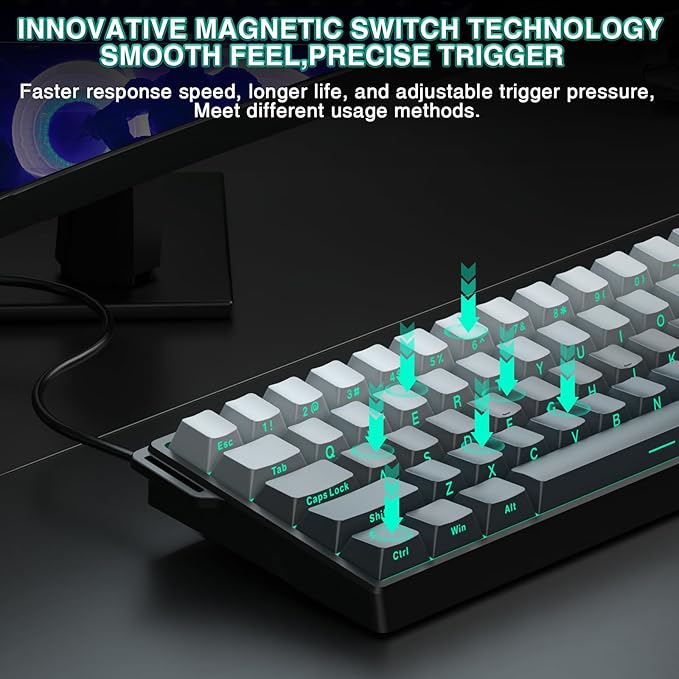 Aula WIN60 HE - 60% Mechanical Gaming Keyboard Wired Hall Effect Magnetic Switch Hot Swappable8000 Hz Polling Rate RGB Keyboard 60 Percent Compact Design for PC (Gradient Gray)