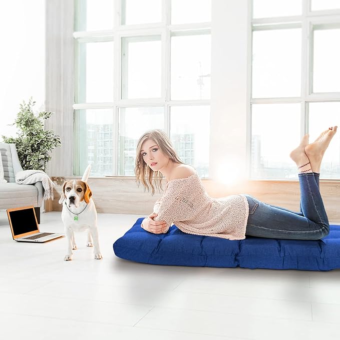 MAT EXPERT 14-Position Floor Chair Floor Gaming Chair w/Resilience Sponge Alloy Steel Frame Padded Bed Couch Recliner Floor Chair with Back Support for Reading Meditating (Blue)