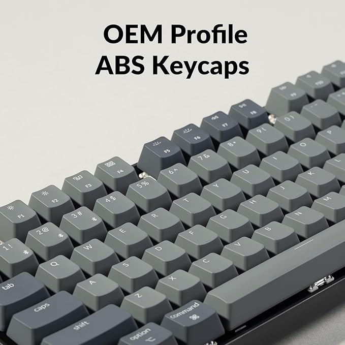 Keychron K8 Tenkeyless Wireless Mechanical Keyboard for Mac White Backlight Bluetooth Multitasking Type-C Wired Gaming Keyboard for Windows with Brown Switch