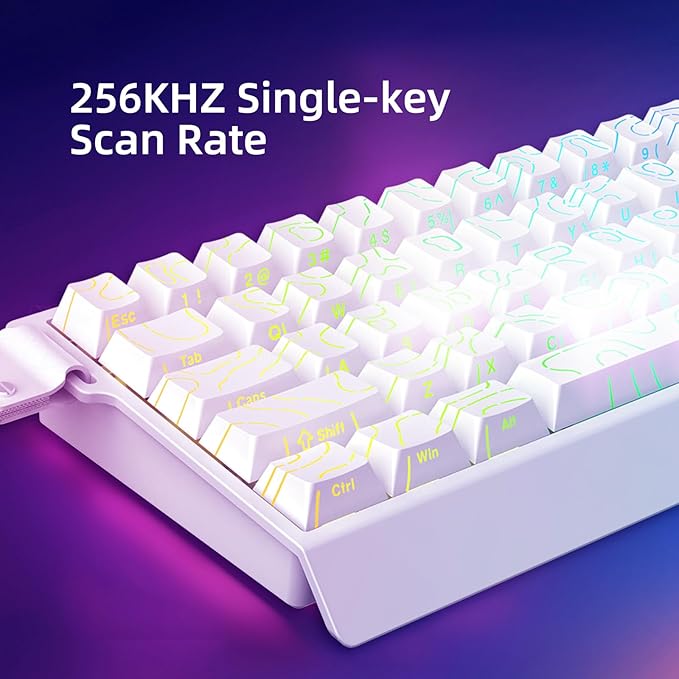 Mer68 Wired 68 Keys Magnetic Switch Mechanical Keyboard 8KHZ Polling Rate/Latency As 0.125MS/256KHZ Single Key Scan Rate/ARGB/ Hot Swappable Gaming Keyboard(White)