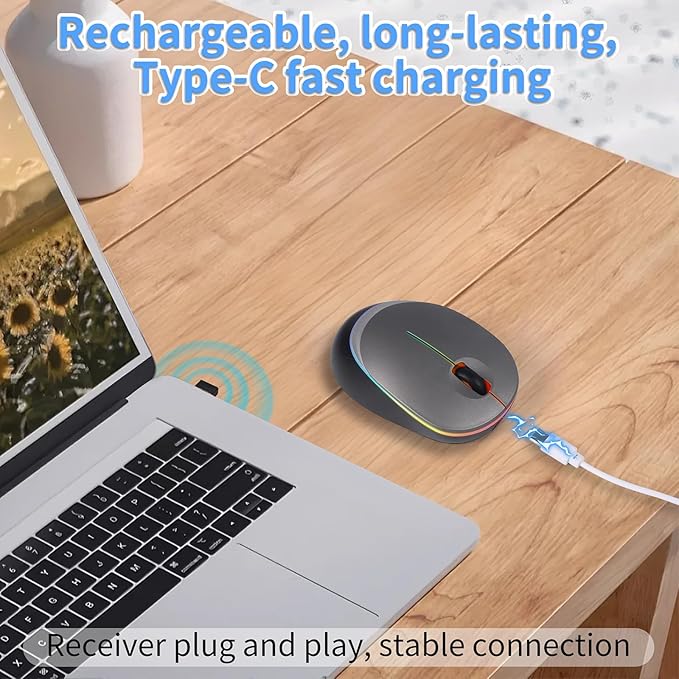 Type-C RGB Wireless Bluetooth Mouse - Ergonomic Rechargeable Silent Clicks for Laptops and PCs - Ideal for Office and Gaming Use (Gray)